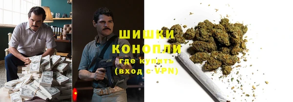 ГАЛЛЮЦИНОГЕННЫЕ ГРИБЫ Беломорск