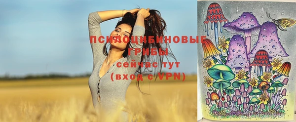 экстази Белокуриха