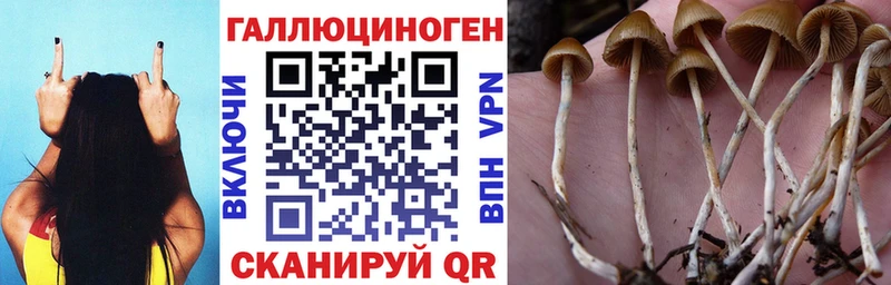 Псилоцибиновые грибы мицелий  Константиновск 